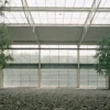 A calm, sunlit room providing a safe space to use coping strategies for anxiety and panic attacks.